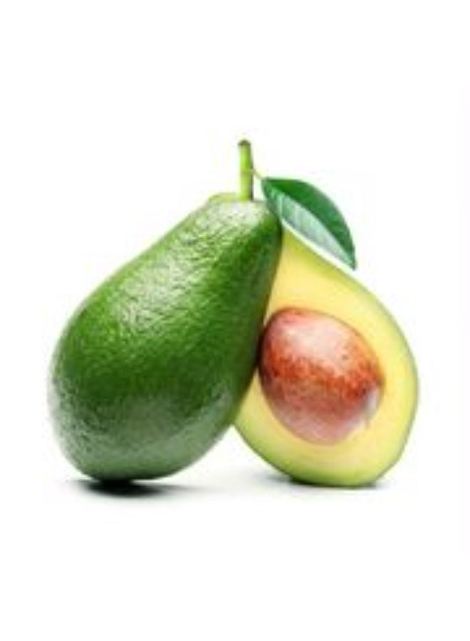 cosnature Avocado & Almond Reconstructing Conditioner – Natural Conditioner for Brittle & Weak Hair – 250 ML – Made in Germany - Image 4